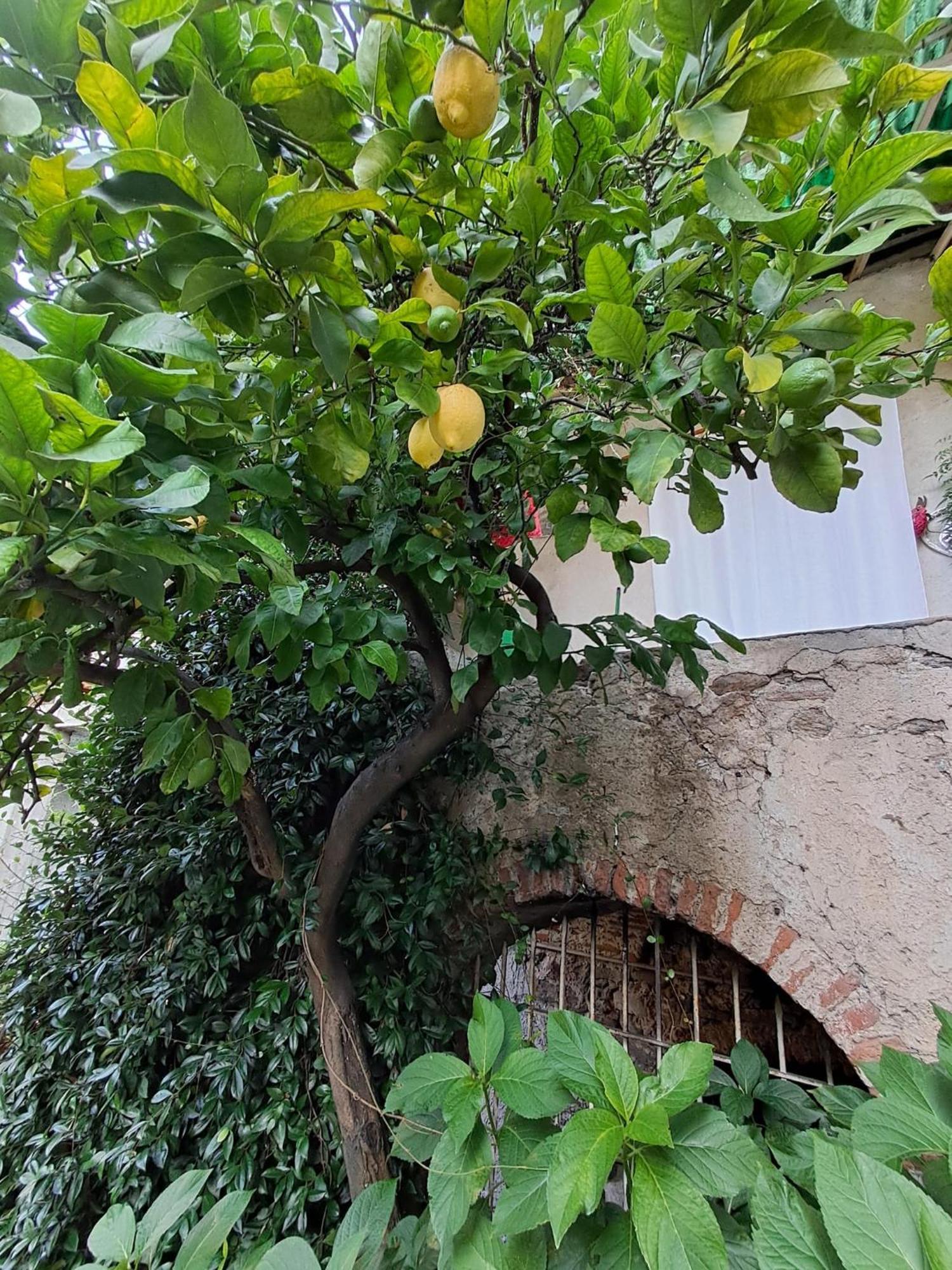 Bed and Breakfast Nonna Anita Castelveccana Exterior foto