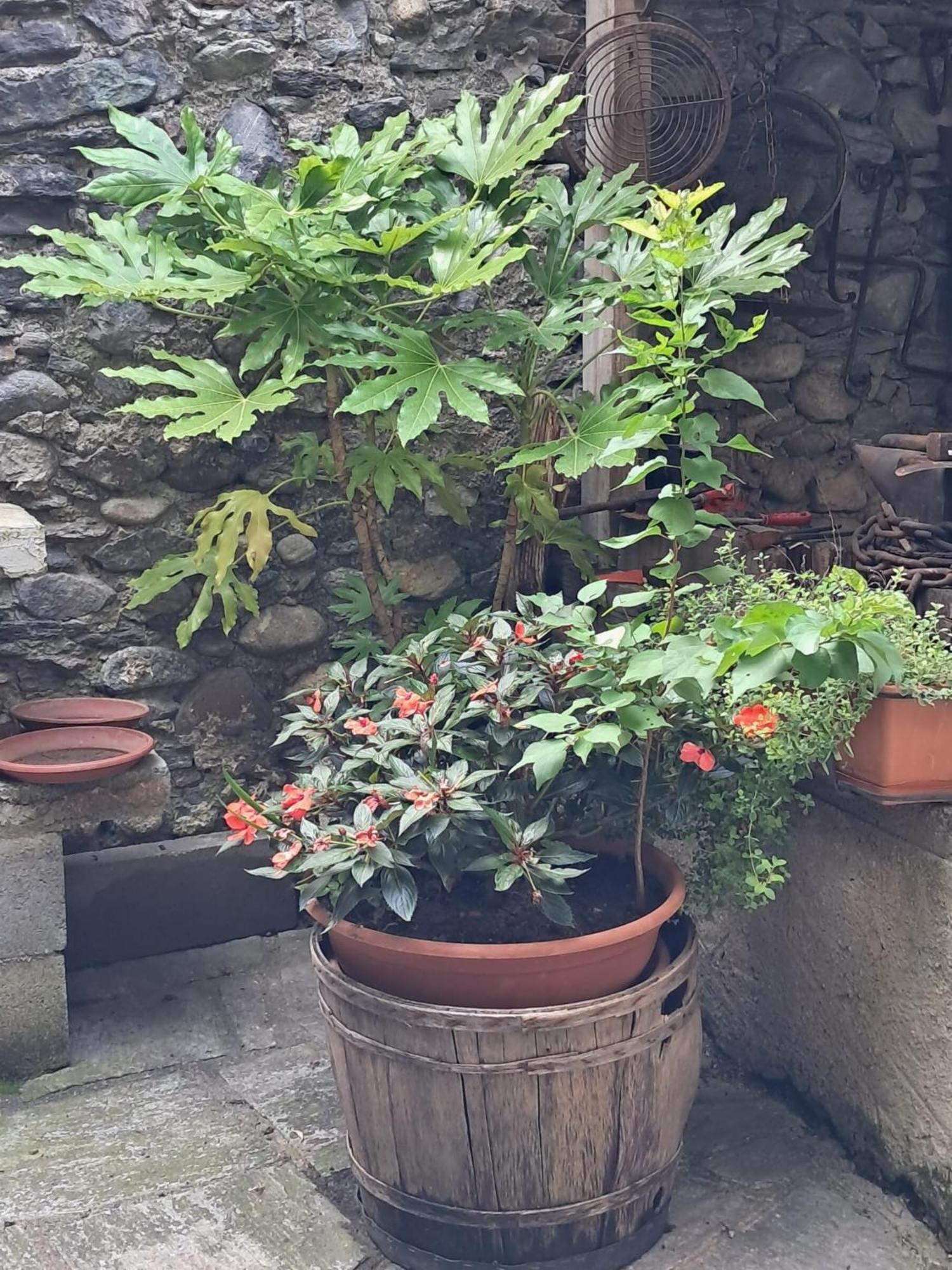 Bed and Breakfast Nonna Anita Castelveccana Exterior foto