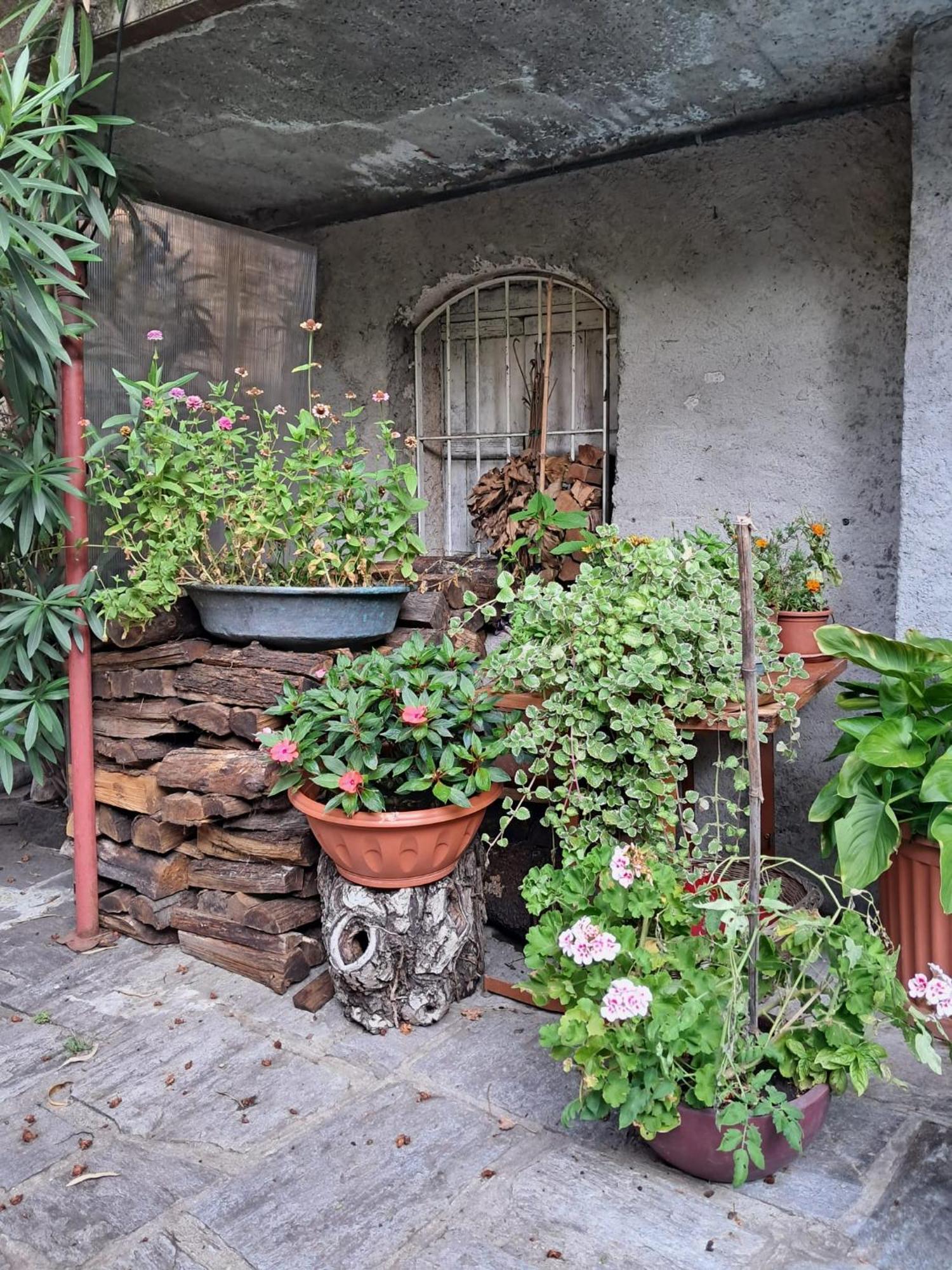 Bed and Breakfast Nonna Anita Castelveccana Exterior foto